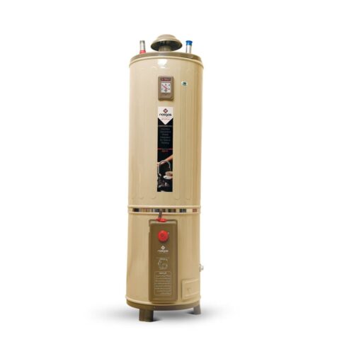 Nasgas Water Heater DG