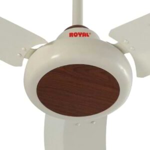 Royal Galant Ceiling Fan-sheesham