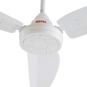 Royal Passion Ceiling Fan (GRACE)-white