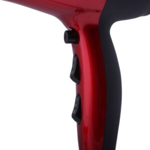Geepas Ionic Hair Dryer GHD86018