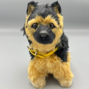 Little German Shepherd Dog