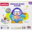 Penguin Music Player