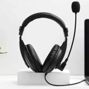 RAPOO Wired Stereo Heads H150