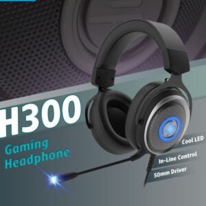 HP USB Gaming Headset-H300