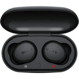 Sony WF-XB700 Extra Bass True Wireless Earbuds