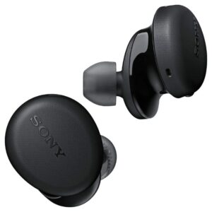 Sony WF-XB700 Extra Bass True Wireless Earbuds