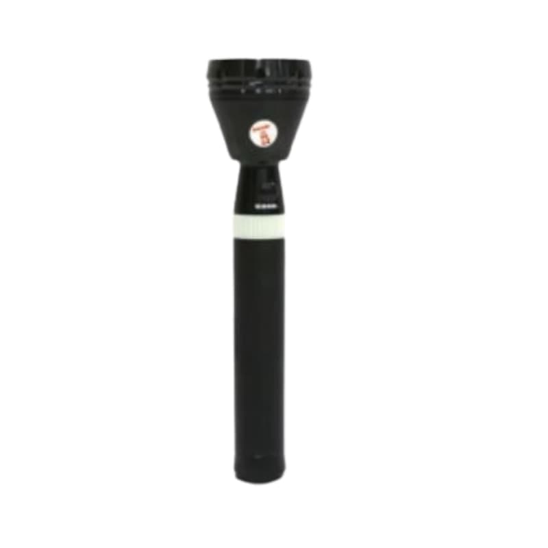 Torch Light