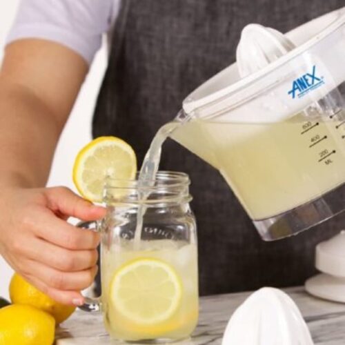 Anex AG-2058 Deluxe Citrus Juicer_3