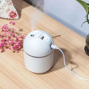 Mini Portable Multifunctional USB Air Humidifier