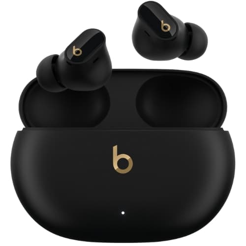 Earbuds