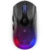 Gaming Mouse