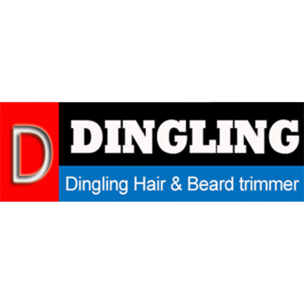 DSP Logo