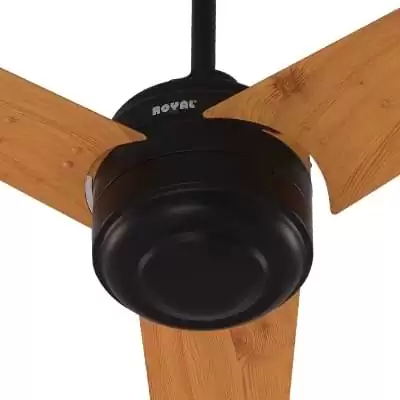 Royal Lifestyle Ceiling Fans RL-150-black pine