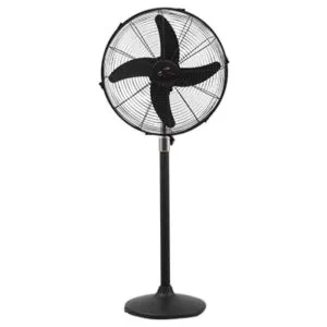 Royal Magnum Black Pedestal Fan-