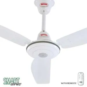 Royal Smart Expo Economy ACDC Ceiling Fan-remote