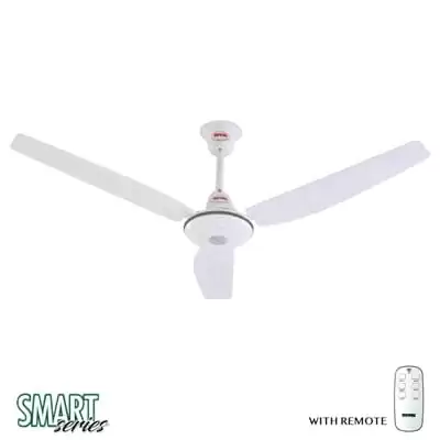Royal Smart Expo Economy ACDC Ceiling Fan-