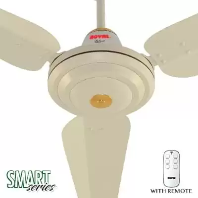 Royal Smart Prime ACDC Ceiling Fan-