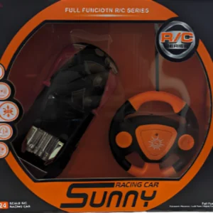 Sunny Remote Control Racing Car R/C Series 1:24 Scale